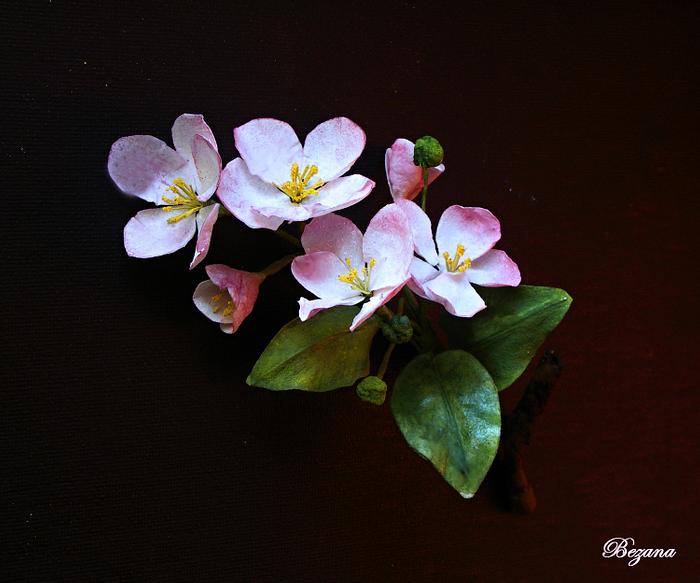 Apple blossoms  from wafer paper
