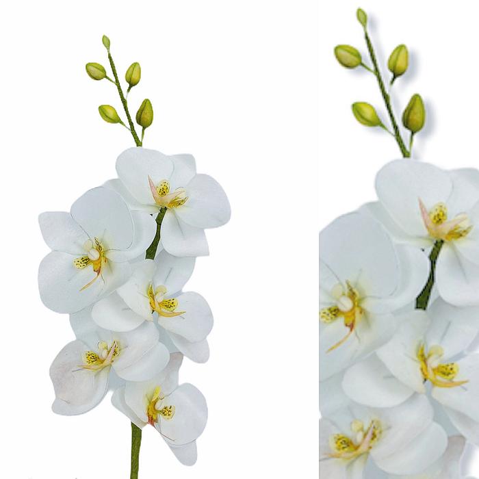 Orchidées wafer paper
