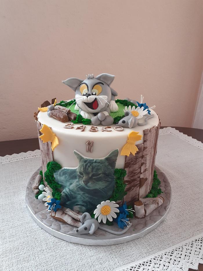 11th Birthday cake