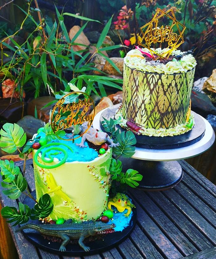 Insects and rainforest cake 