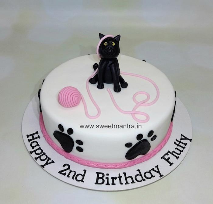 Cat birthday cake