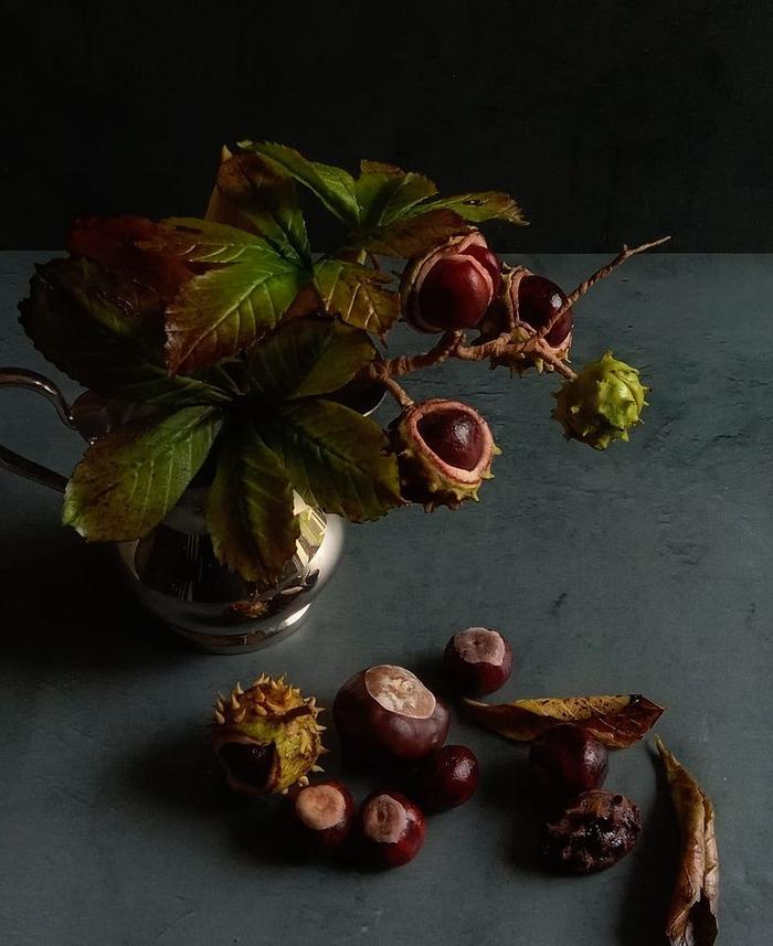 Sugar conkers (buckeyes)) with foliage