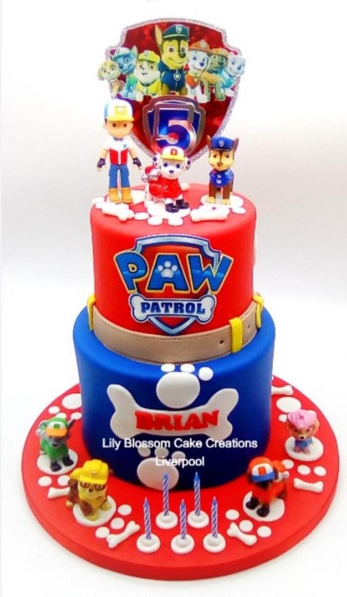 Paw Patrol 5th Birthday Cake