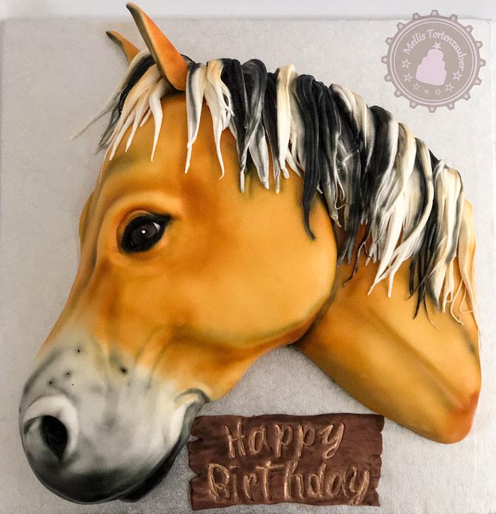 Little horse cake 
