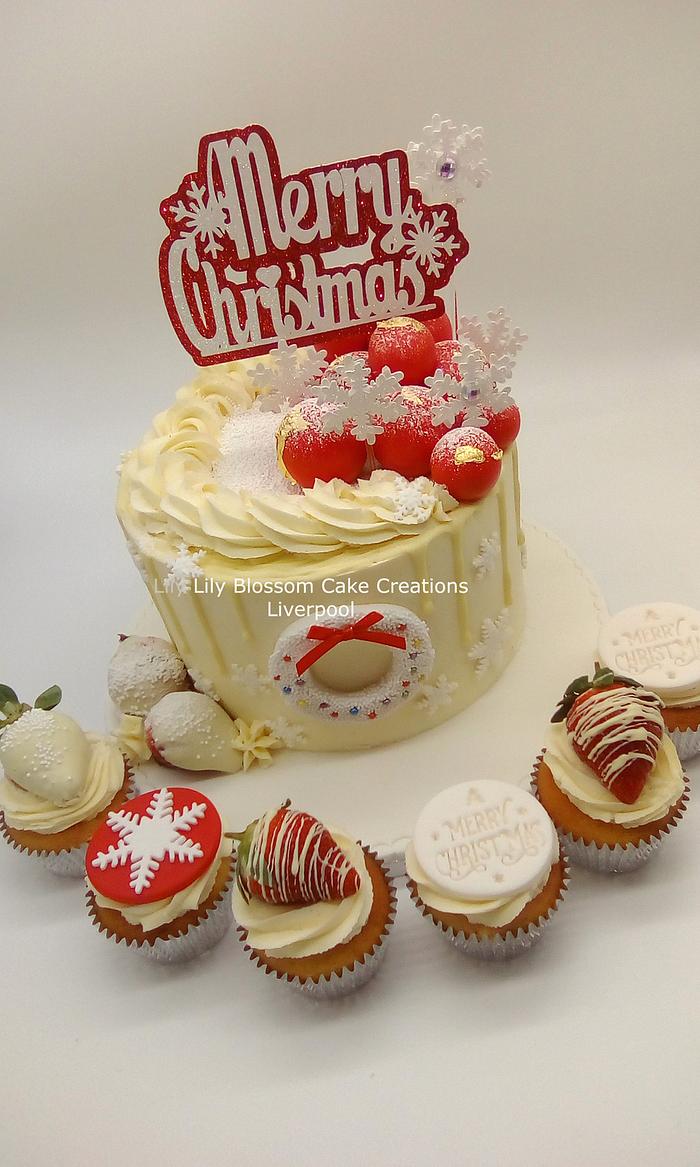 Christmas Cake & Cupcakes