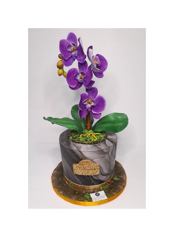 Orchid pots cake 