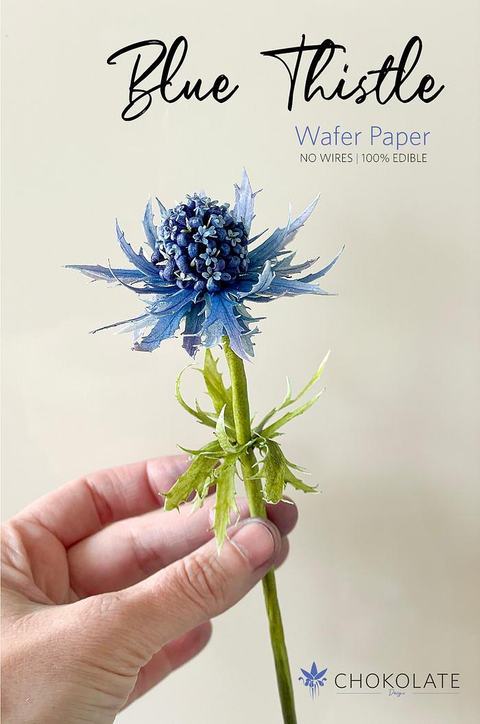 Wafer Paper | Blue Thisle (Eryngium planum) 