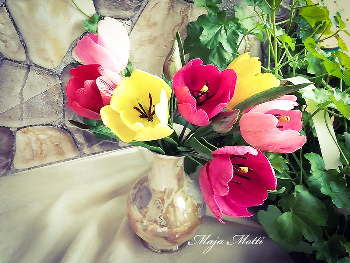 Tulips colorful