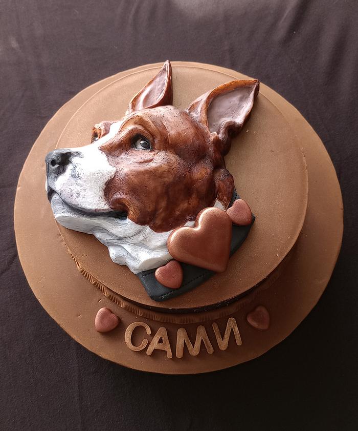 Cake for dog's birthday.