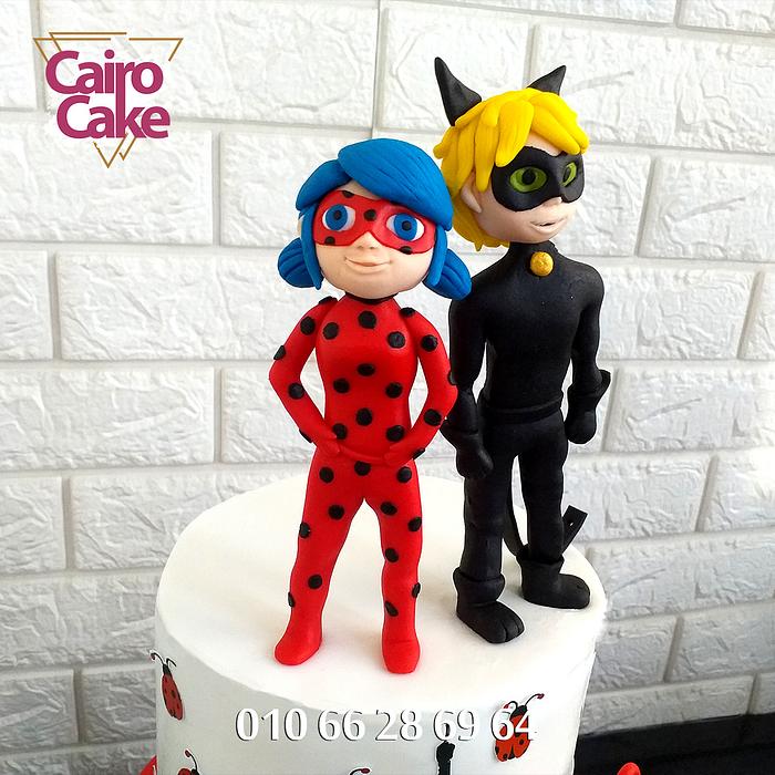 Miraculous Figure - Ladybug & Cat Noir 