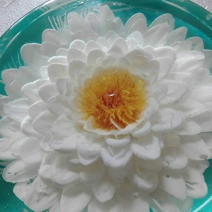 Bianco fiore