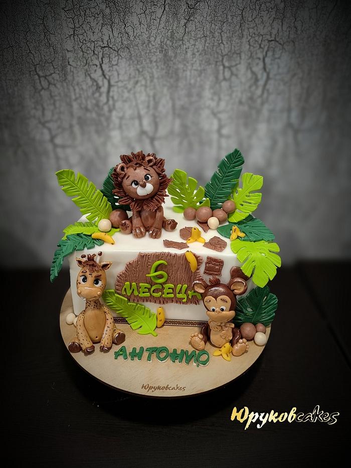 1/2 cake jungle cake