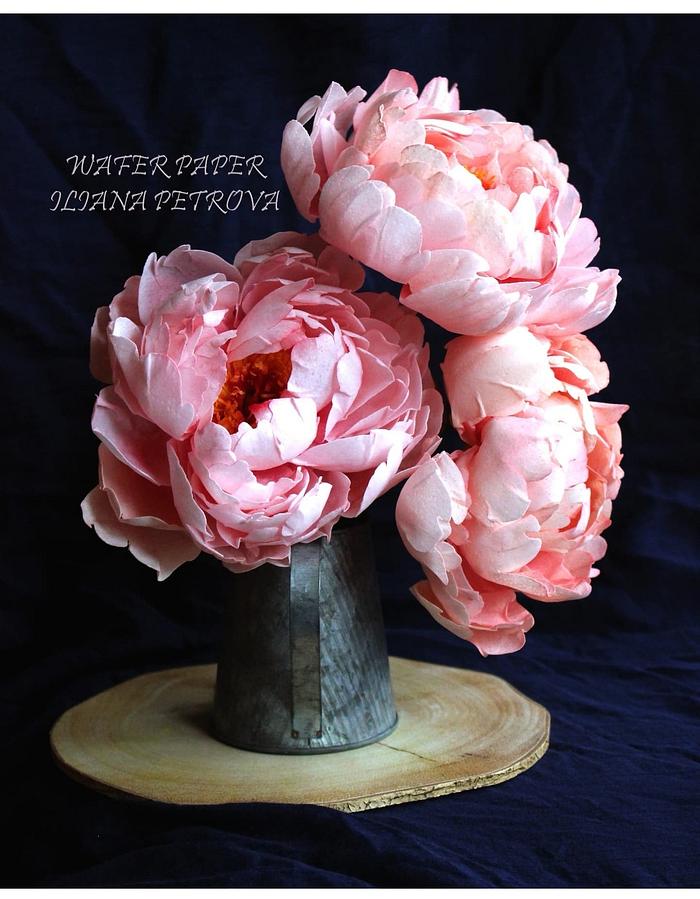 Wafer paper Peonies 