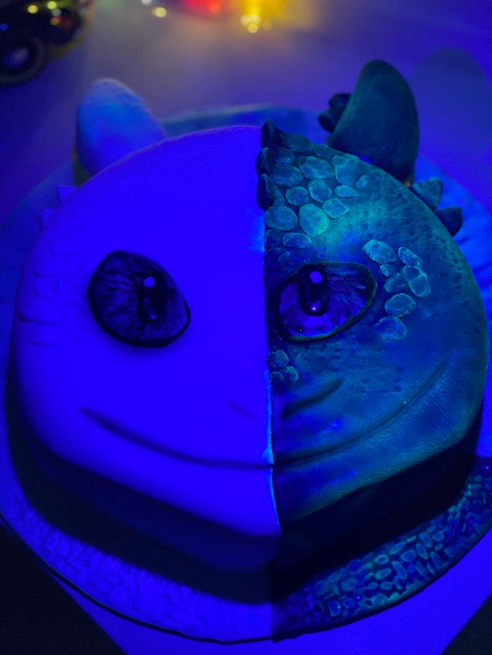 Glow in the Dark cake How to Train Your Dragon