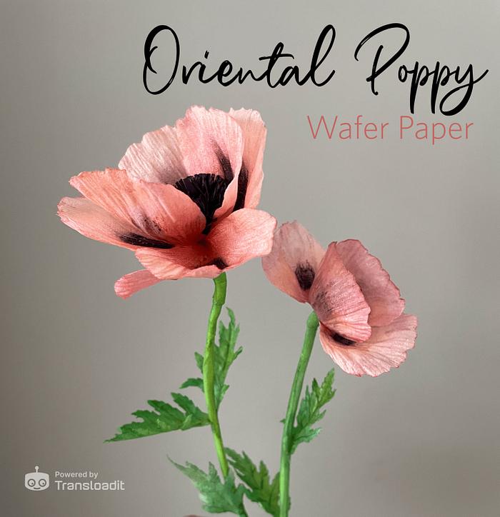 Wafer Paper Flowers  Poppy
