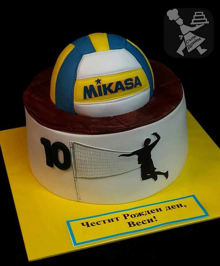 Amazon.com: Volleyball Happy Birthday Cake Topper Girls Beach Volleyball  Player Cake Decoration Adult Female Sports Themed Birthday Party Supplies :  Grocery & Gourmet Food