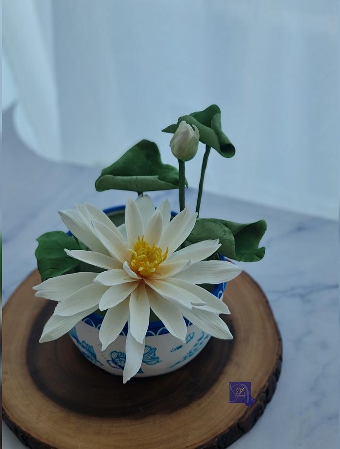 Water Lily  Cake