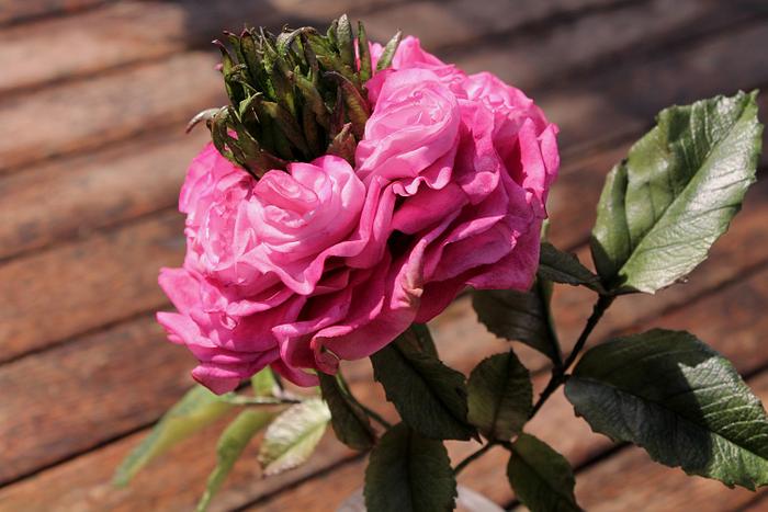Rive Gauche rose