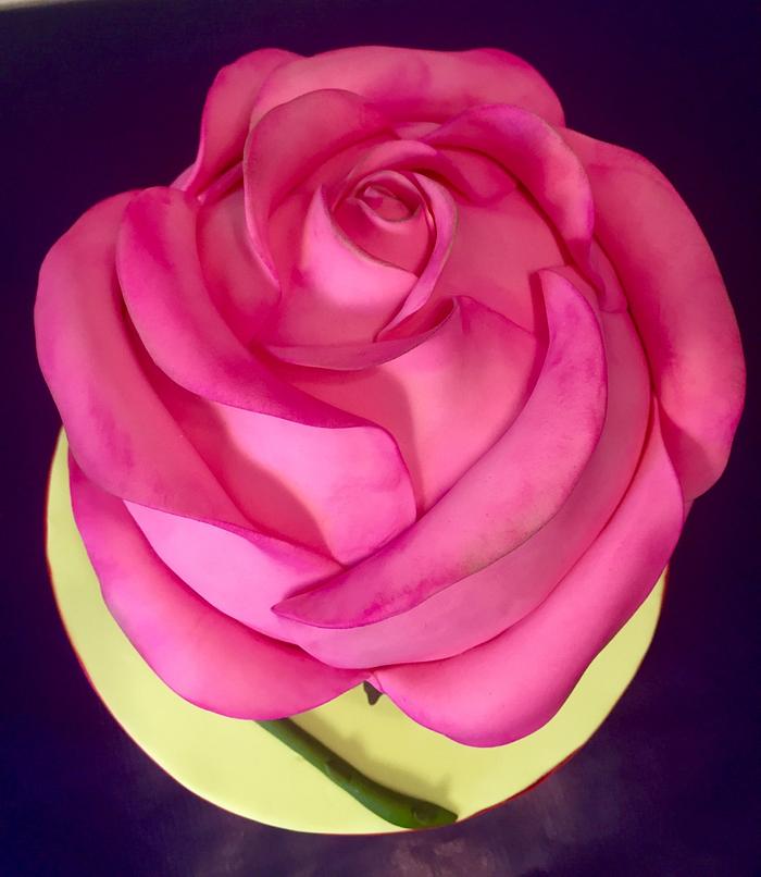 3D rose cake