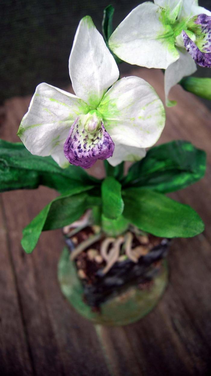 Wafer Paper Cattaleya flower