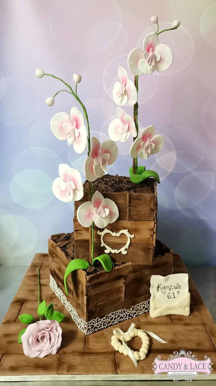 2 tier Orchid planter cake