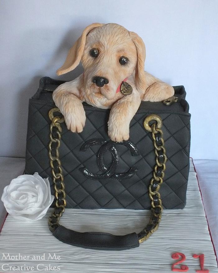 Dog in a Bag Cake