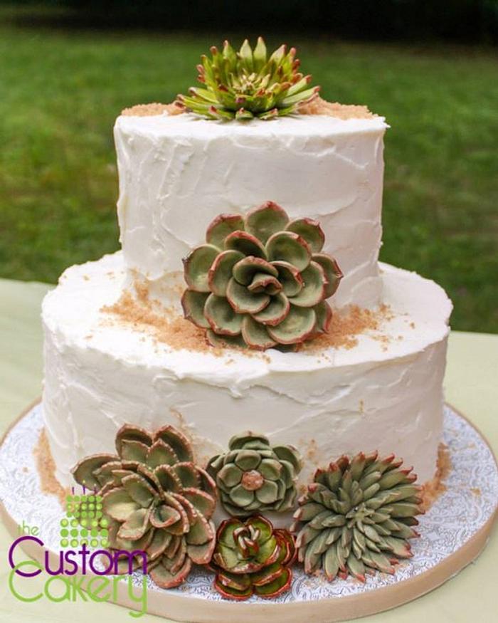 Simple succulent cake.🌿 : r/cakedecorating