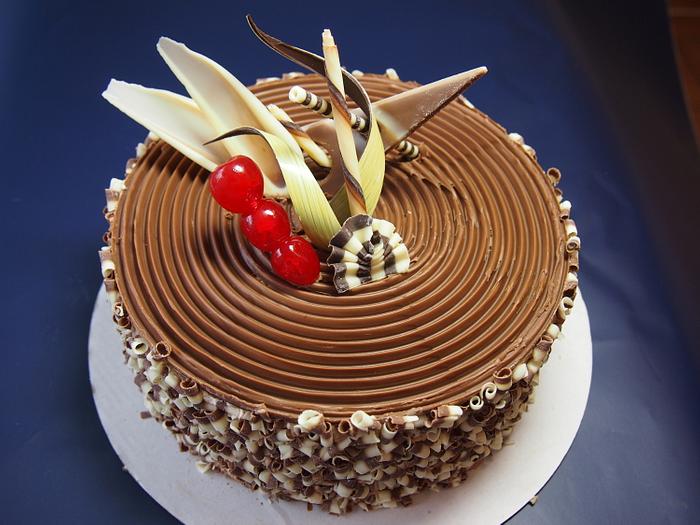 a fancy chocolate cake