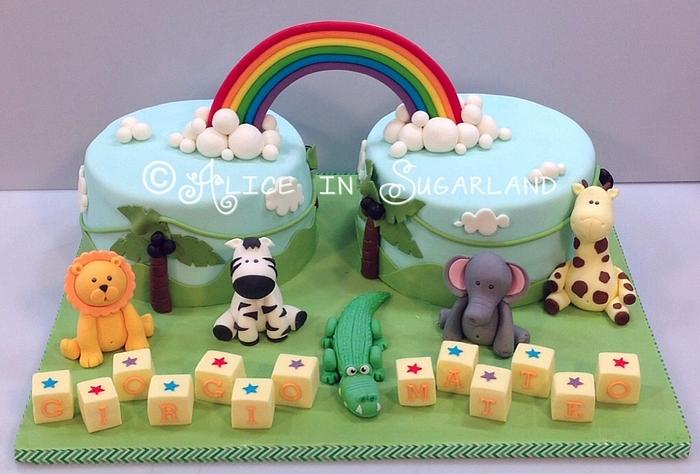 Rainbow cake for twin S