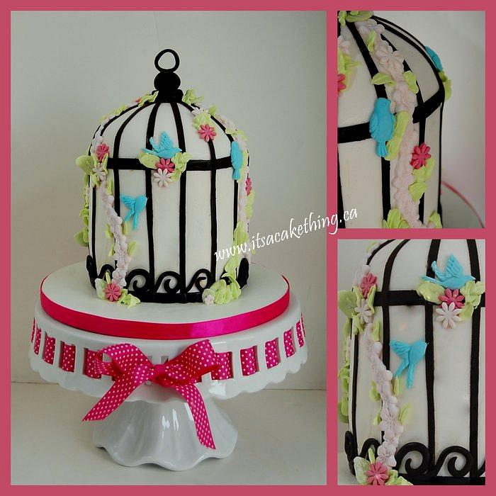 Bird Cage Birthday Cake 