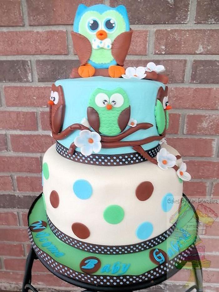 Baby Boy Owl Shower Cake 