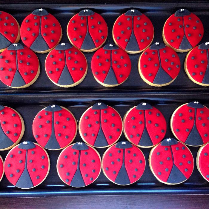 Lady Bug cookies