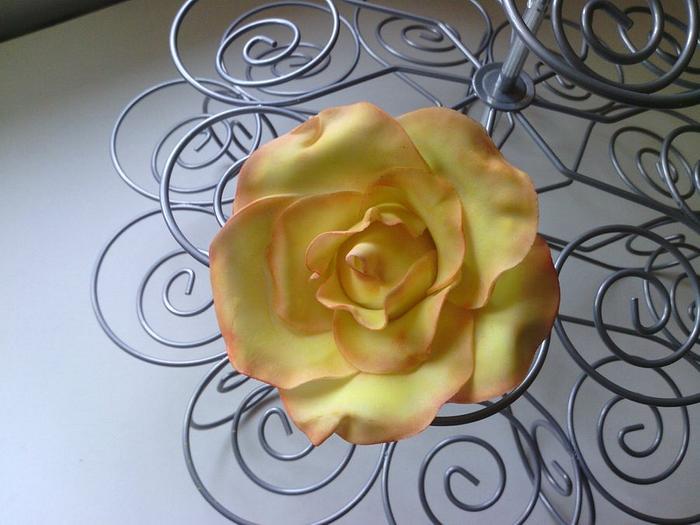 First attempt at a rose