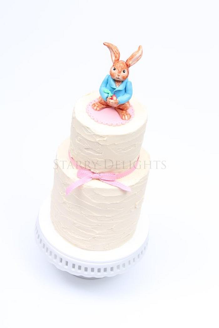 Peter Rabbit cake and Tutorial