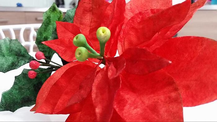 poinsettia in wafer paper