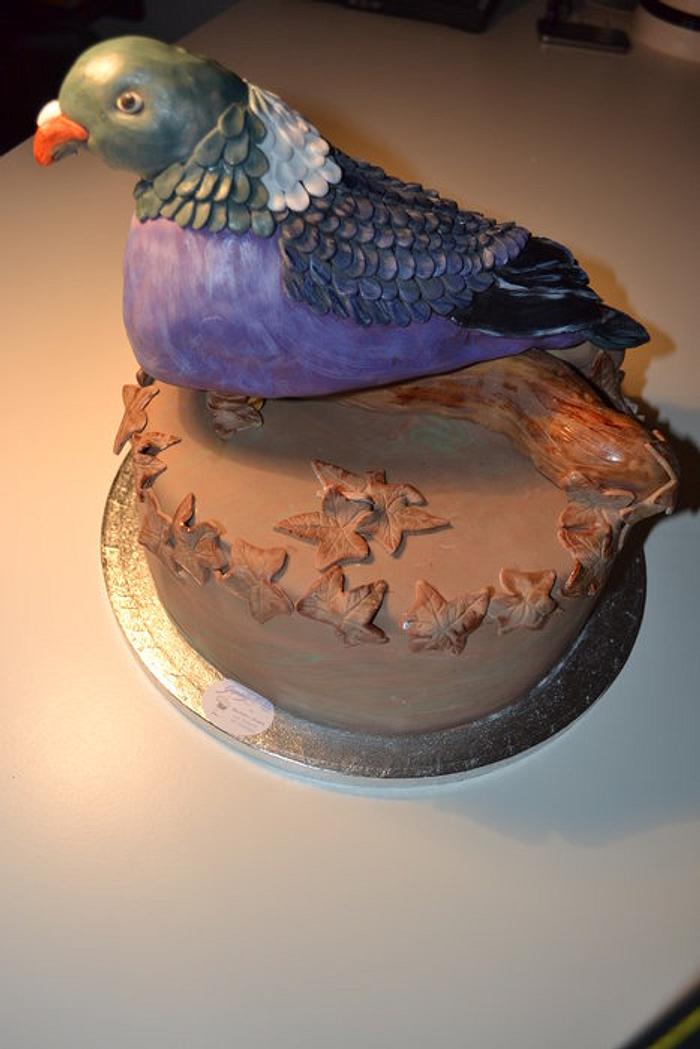 Wood pigeon cake