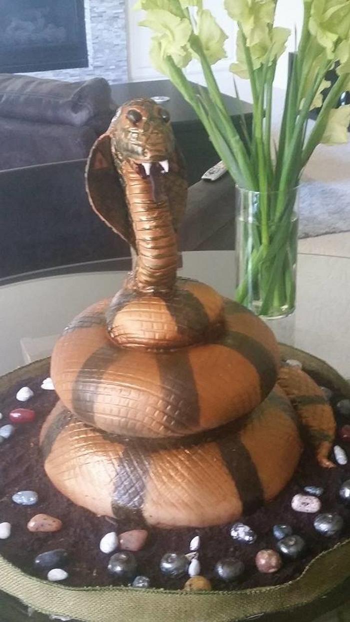 Cobra Snake Cake 