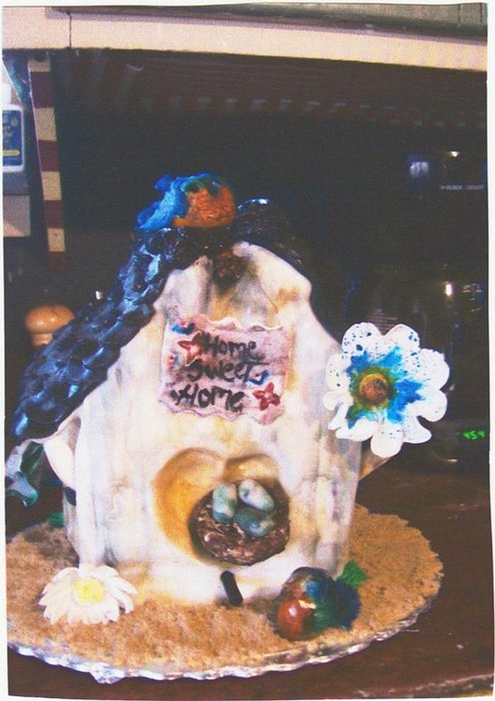 Bird house Cake