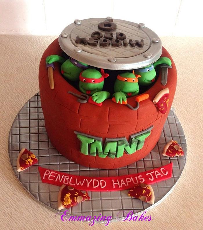 Teenage mutant ninja turtles cake