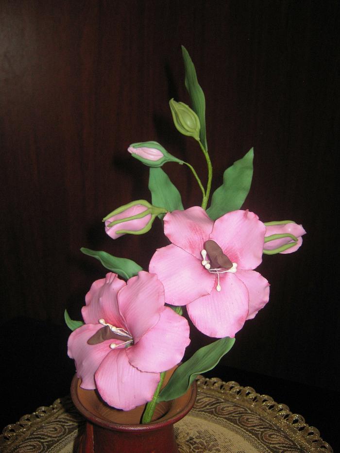 PINK FLOWER