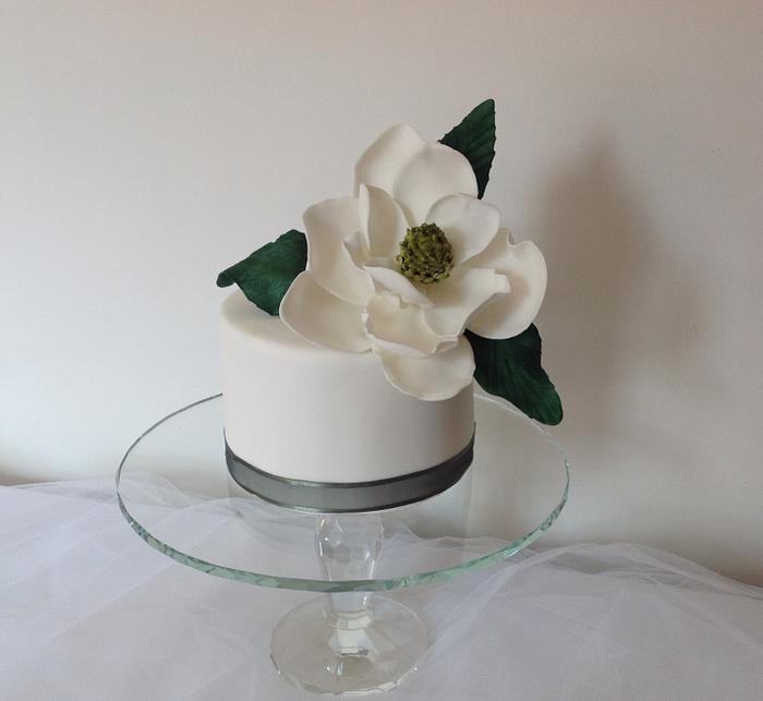Mgnolia flower cake 