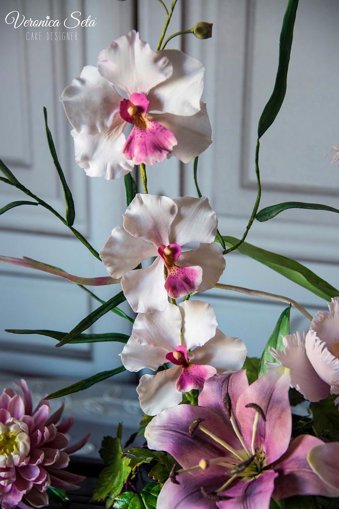 Josephine Orchids