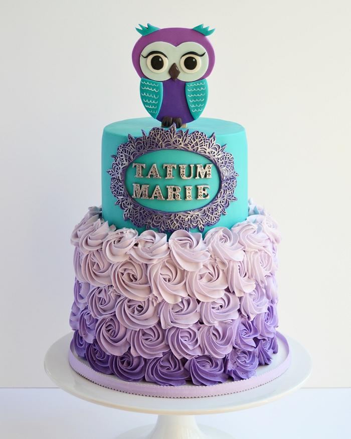 Teal and purple owl cake