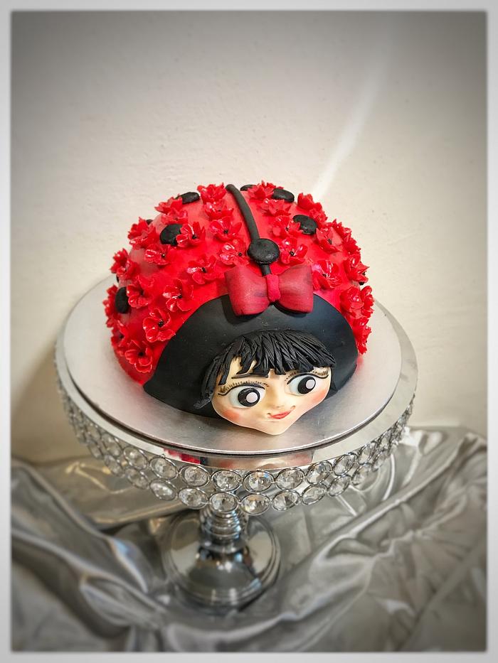 Ladybag cake