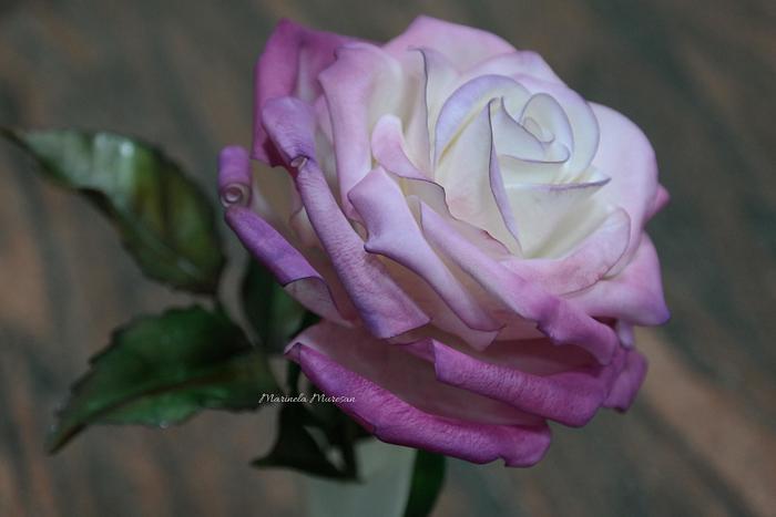 My purple gumpaste rose