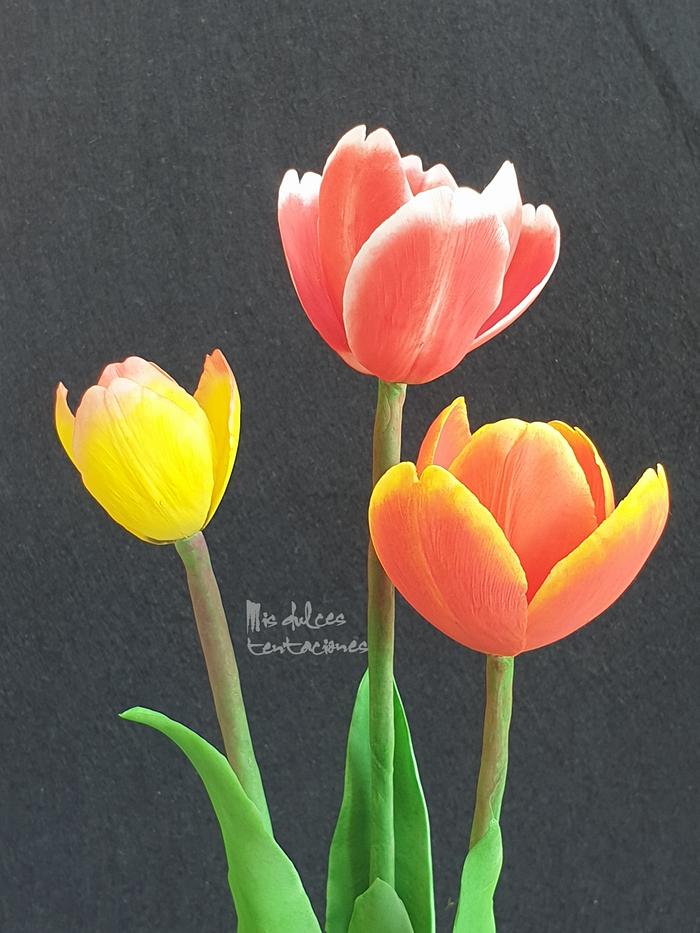 Sugar tulips 