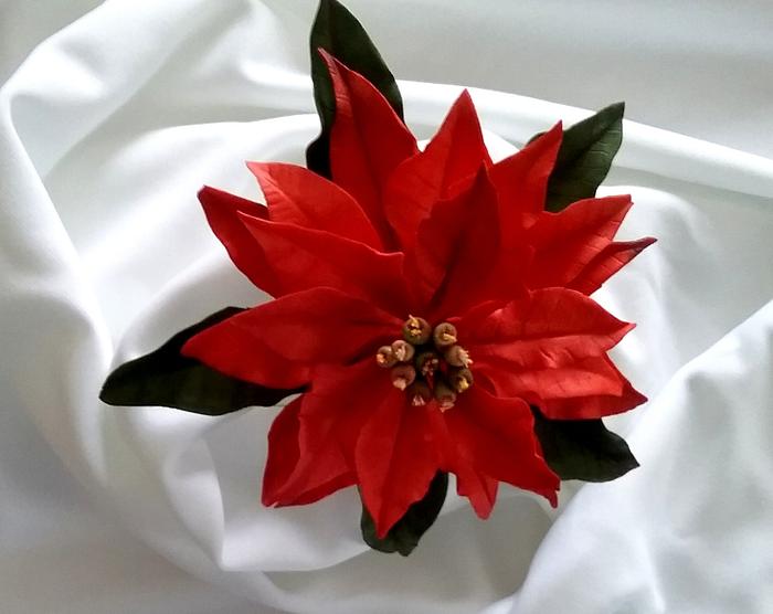 Gumpaste poinsettia