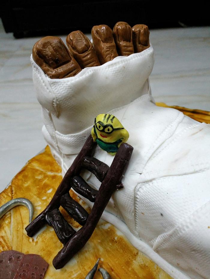 An orthopedic cake