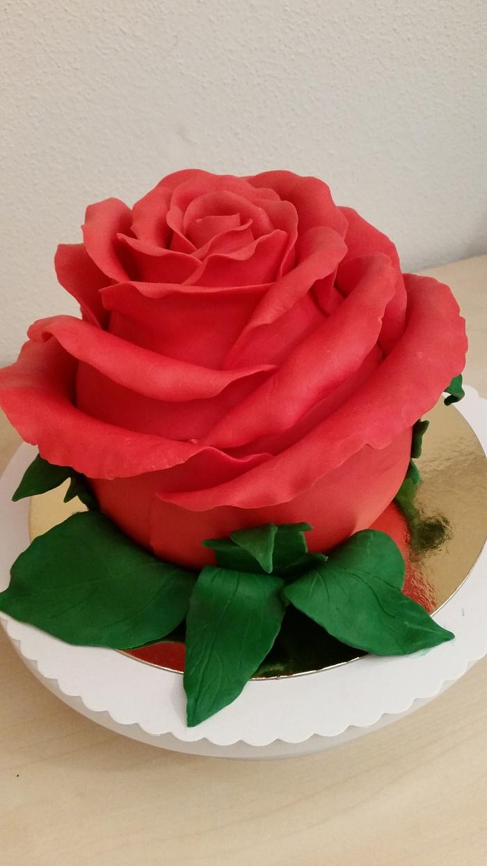 Sweet Rose Cake