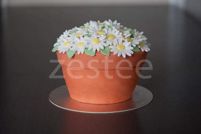 Terracotta Flower Pot Cake